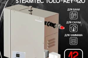 STEAMTEC TOLO-120 KEY - 12 кВт, 380 В